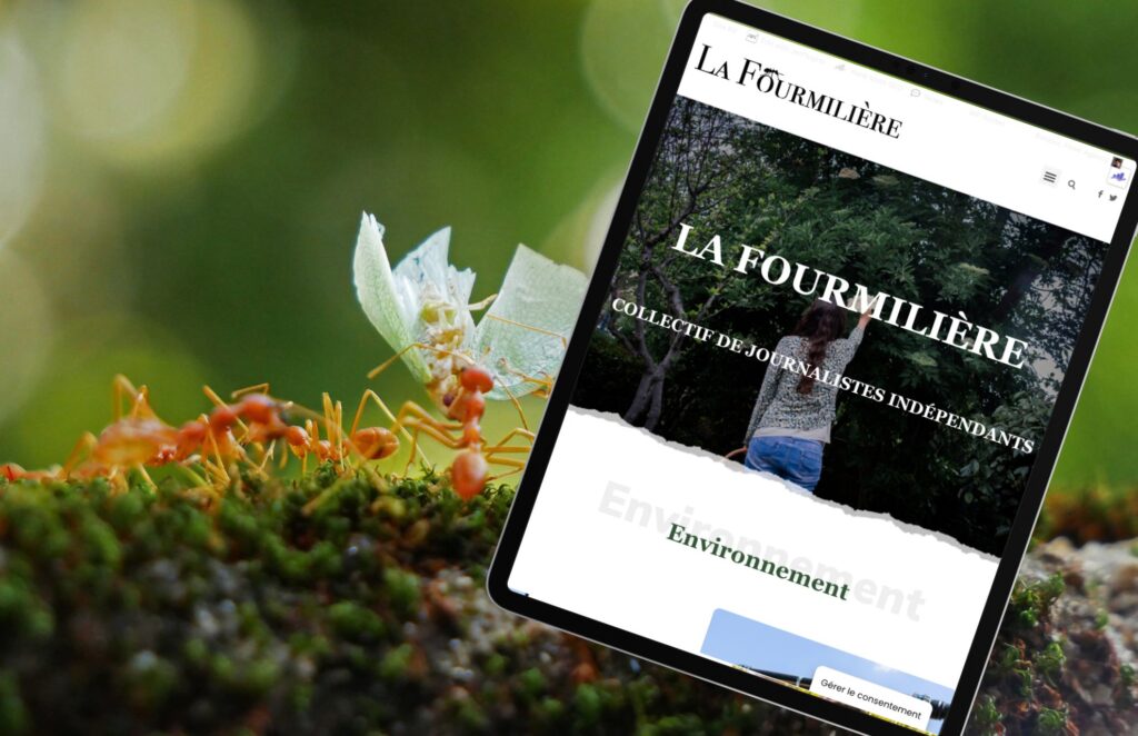 Collective La Fourmilière Flowr Agency