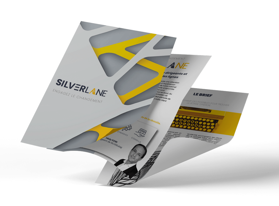 SILVERLANE brochure design branding