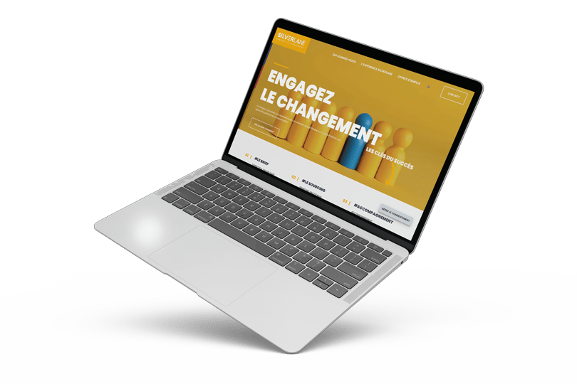 SILVERLANE website by Flowr Agency