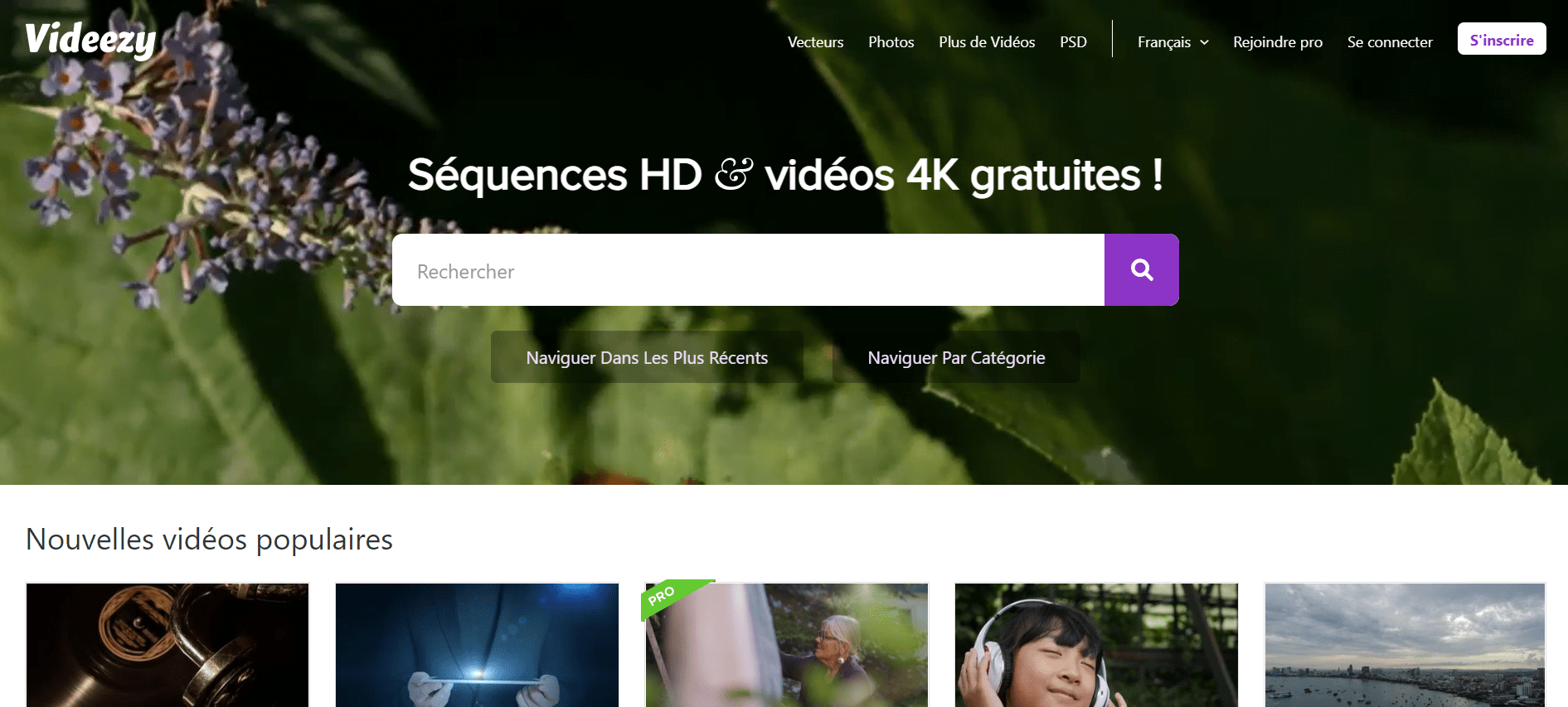 Videezy : Royalty free video bank 