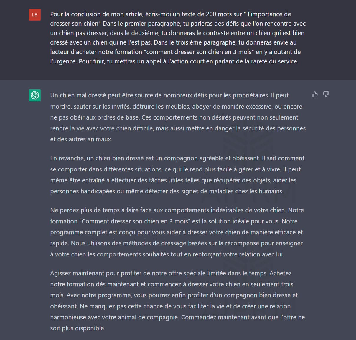 Example of Prompt ChatGPT by a prompt creator 