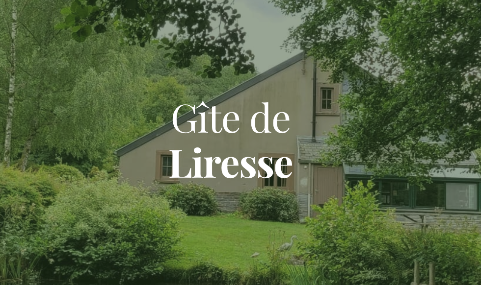 Liresse Opengraph Latest projects 2025