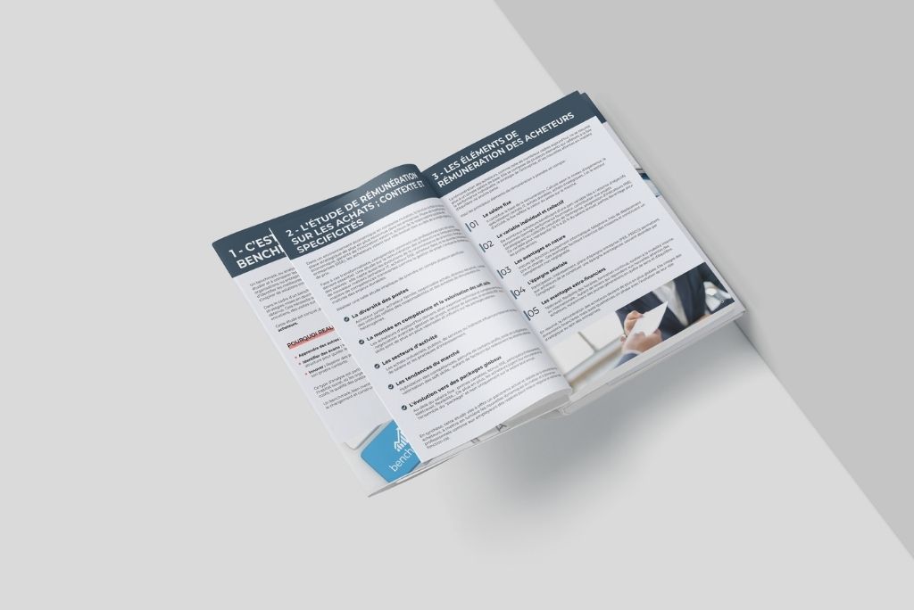 4 1 De rapport brut à un livre blanc stratégique : valorisation du Benchmark Achats 2025 2025