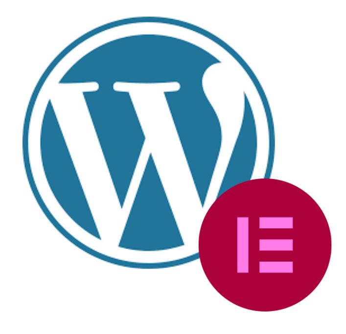 wordpress elementor logo De rapport brut à un livre blanc stratégique : valorisation du Benchmark Achats 2025 2025